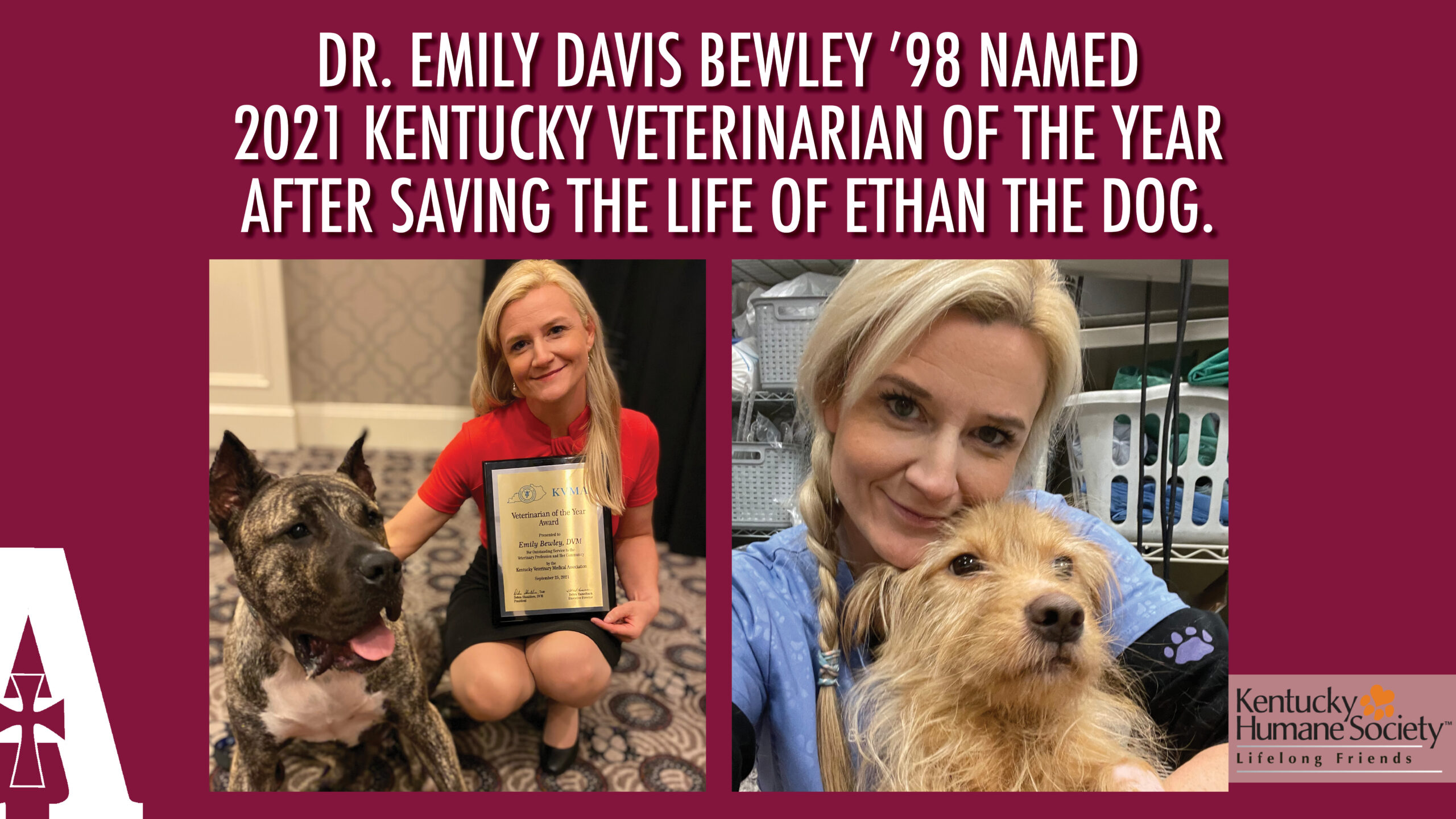 Dr. Emily Davis Bewley '98 Named 2021 Kentucky Veterinarian of the Year